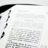 Библия каноническая 047 ZТIDT (перепл. из кожи, серебр.обрез, краев.указ, молн, сине-серая)